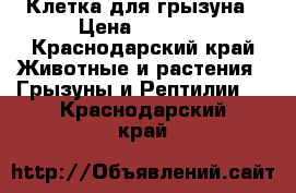 Клетка для грызуна › Цена ­ 1 000 - Краснодарский край Животные и растения » Грызуны и Рептилии   . Краснодарский край